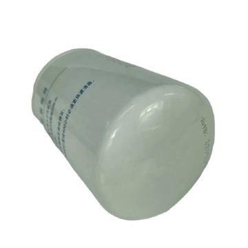 Tipi di filtro per gasolio CX0810S